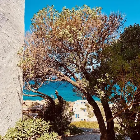 Blue Horizon I Appartement
